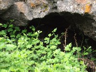 otta Intraleo-20100515 049